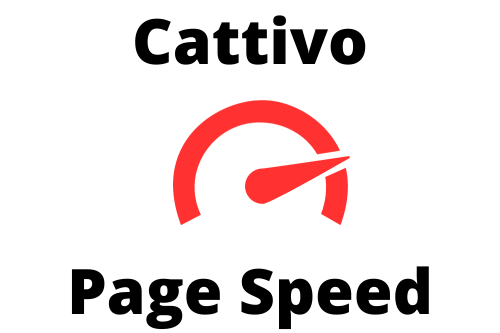 Google Page Speed vs Devs